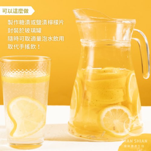 (蝦皮)冷凍黃檸檬片-03