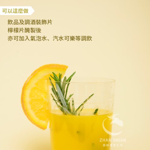 (蝦皮)冷凍黃檸檬片-05